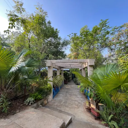 Wilderness Jungle Camp