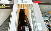 MetroCity Backpackers - Mountain view