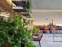 Puro Dão Hotel & Spa - bar