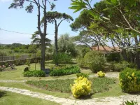 Solar Do Magoito - Villas