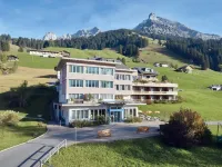 Ferien- Und Familienhotel Alpina Adelboden - Wifi