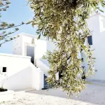 Masseria Calderisi - 5-Star
