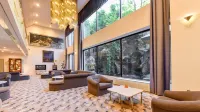 Hotel de Marronnier Gero Onsen - 3 Sao