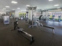 Omni Las Colinas Hotel - Gym