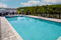 Hampton Inn by Hilton Kissimmee North - parking