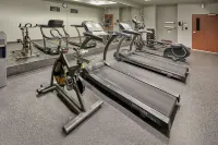 City Express Plus by Marriott Cabo San Lucas - Gym