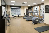 Hilton Garden Inn DFW North Grapevine - Træningscentre