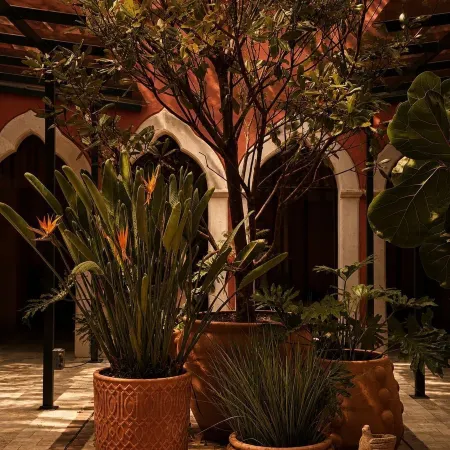 Hotel Boutique Casa Damiana