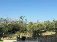 Serene Ground-floor Apartment With Private Pool in Castilenti - Apartments