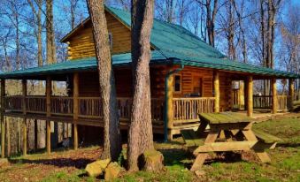 a log cabin surrounded by trees , with a picnic table and benches in the yard at Diamond Lake Cabins