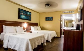 a hotel room with two beds , a painting on the wall , and wooden flooring , along with a nightstand and dresser at Hotel San Sebastian