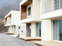 Danyang Avichae Pension Hotels in Danyang-gun