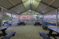 Taean Siesta Pension Hotels in Taean-gun