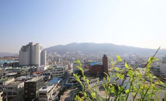 8. 청주 비지니스호..
