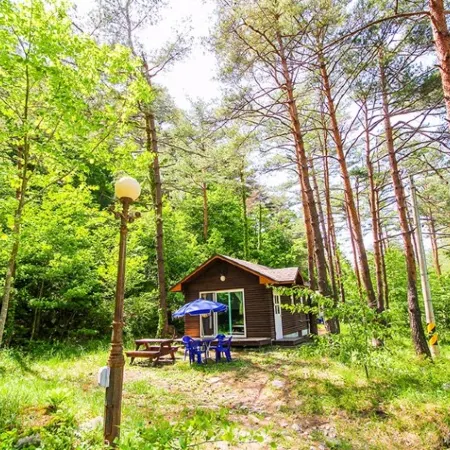 Forest House