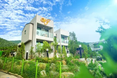 Paju W&J Pension