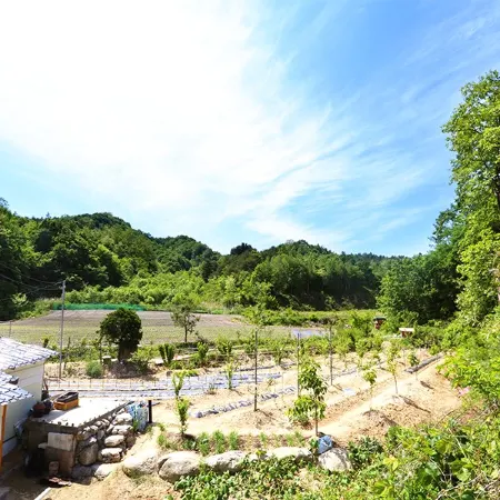 Gangneung Ijibiya Pension Отели рядом с достопримечательностью «Фантазийный музей чашек»