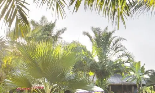 Blue Karma Dijiwa Ubud
