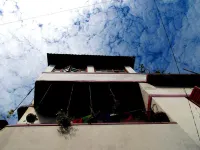 Social Safari Hostel, Park Street  호텔