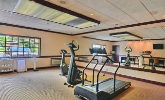 a well - equipped gym with various exercise equipment , including treadmills and stationary bikes , as well as windows that offer natural light at Hotel Veranda DuBois