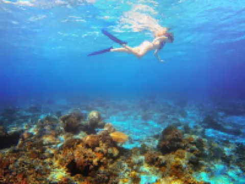 Aston Sunset Beach Resort - Gili Trawangan Hotels near Surf Point Bongkas