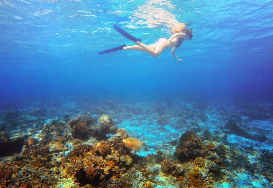 리조트 수영장 야경