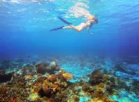 Aston Sunset Beach Resort - Gili Trawangan Các khách sạn gần Paddle Gili