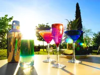 Greet Hotel Castres Saix Hotels in Saix