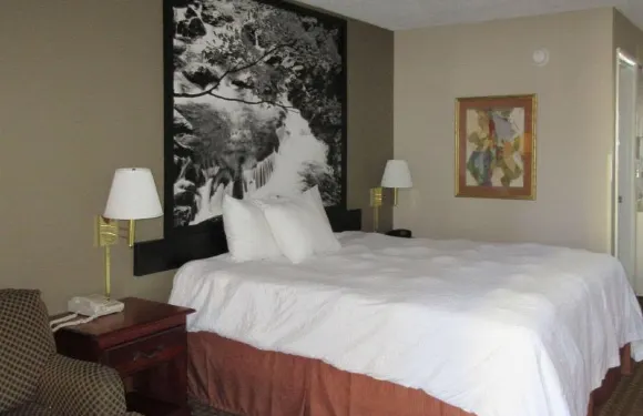 田納西曼徹斯特溫德姆速8酒店