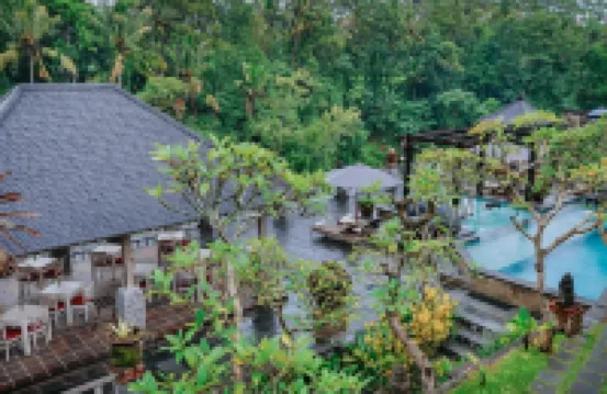 Kawi Resort A Spriritual Sanctuary to Escape Hotels in Bali