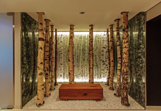 2. 슈타이겐베르거 ..