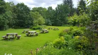 Nant Ddu Lodge Hotel & Spa Hotels in 