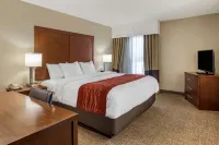 Comfort Inn & Suites Airport