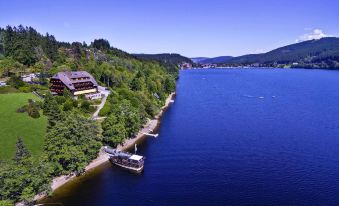 Alemannenhof - Boutique Hotel am Titisee