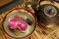 Hyatt Regency Calgary - spa