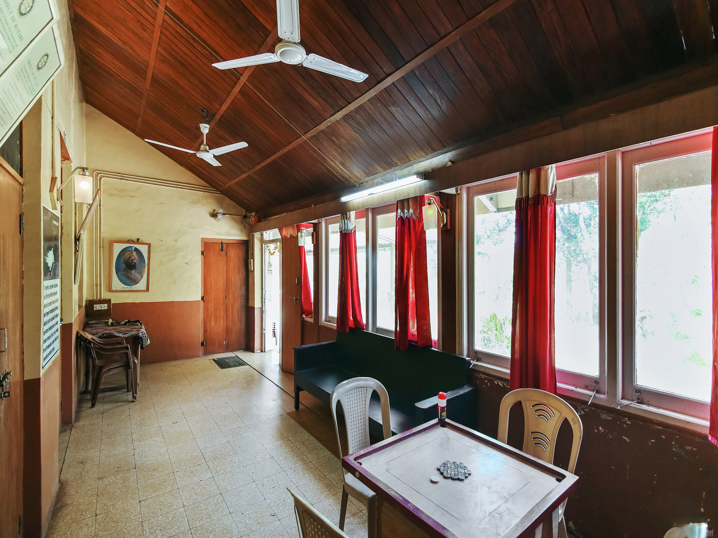 Public Areas Wild Flower Photo