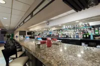 温德姆花園酒店-羅穆勒斯底特律機場 - 酒吧