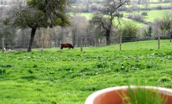 Les ecuries de Callenville