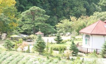 Inje Bawisol Pension