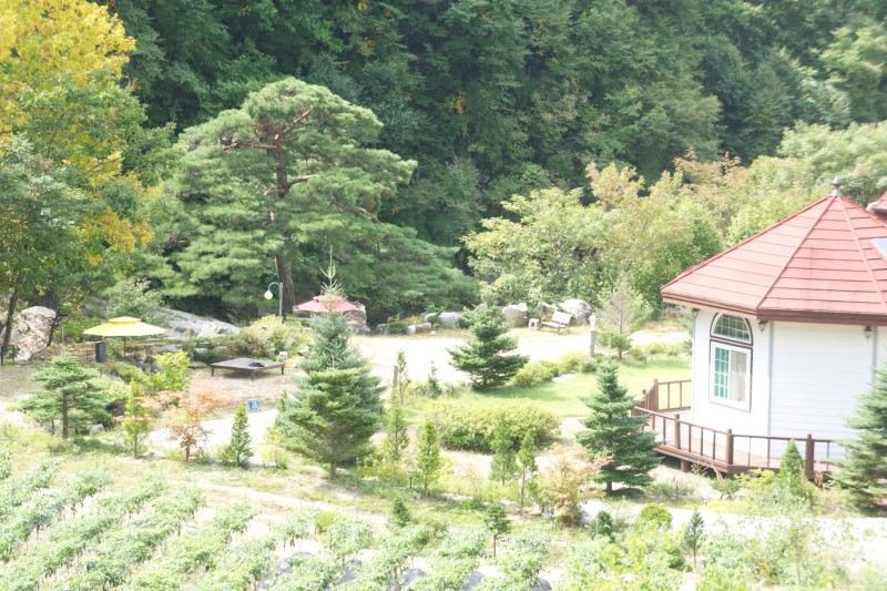 펜션 전경 사진