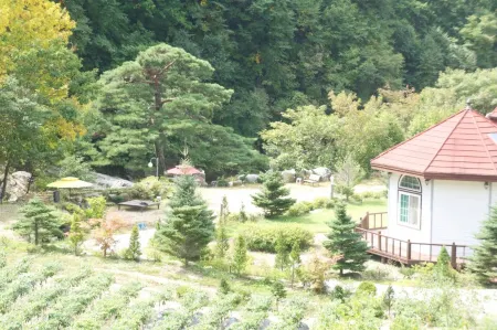 Inje Bawisol Pension Отели рядом с достопримечательностью «The 38th Parallel»