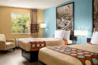 Super 8 by Wyndham Whites Creek/ Nashville NW Area - 2-Star