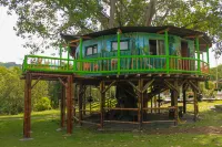 Tree House Finca la Floresta Verde - 民宿