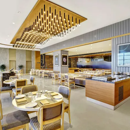 Radisson Hotel Nathdwara
