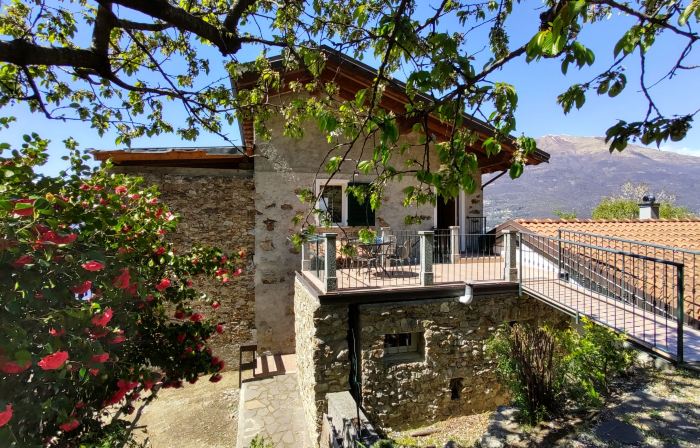 Dado