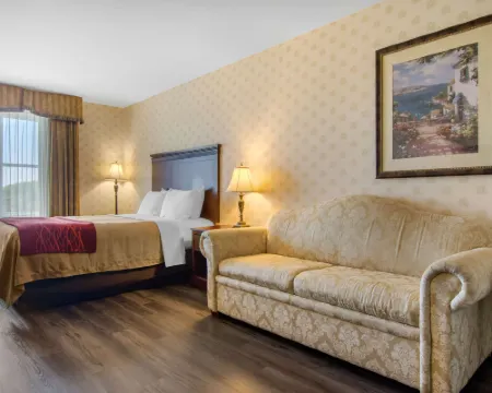 Comfort Inn & Suites レヴィのホテル