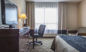 Comfort Inn London - Ontario