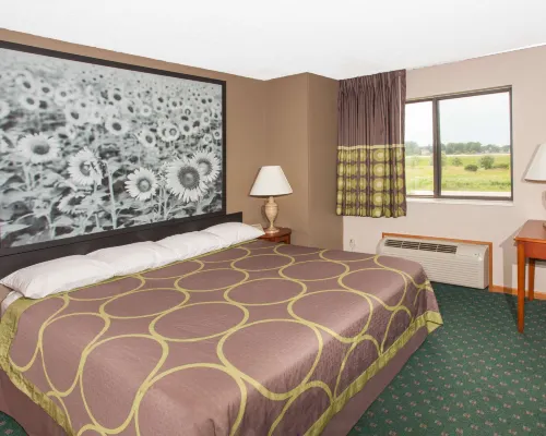 Super 8 by Wyndham Anamosa IA Hotels in Anamosa