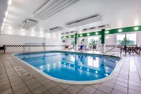Comfort Suites Rochester Henrietta University Area - Kolam Renang