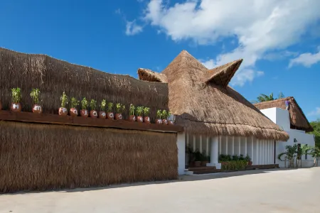 Villas HM Palapas del Mar Отели в г. Ольбокс